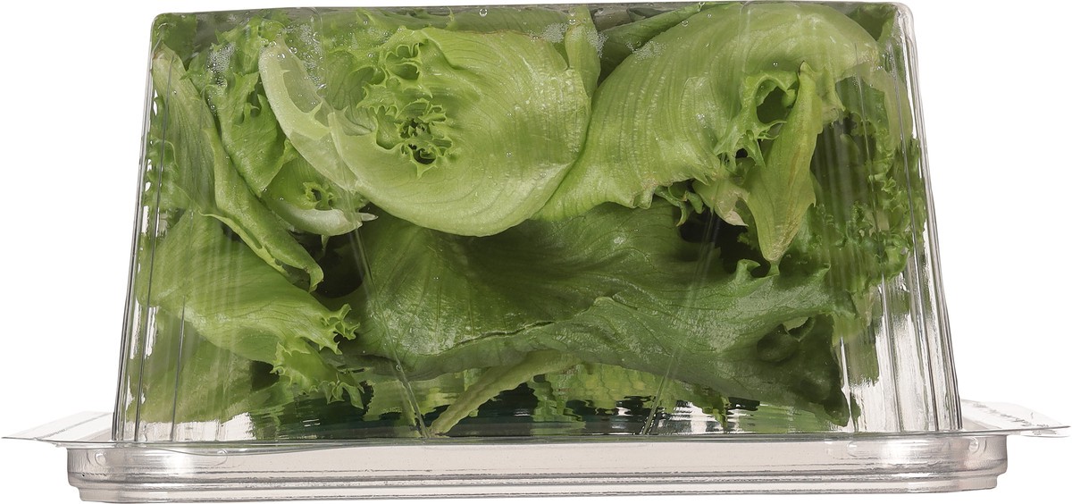 slide 2 of 10, Little Leaf Farms Green Leaf Baby Crispy Lettuce 8 oz, 8 oz