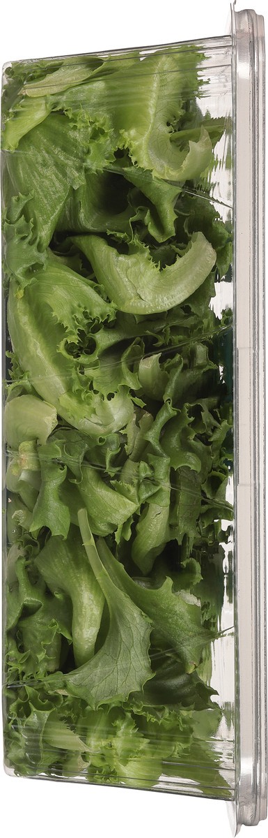 slide 6 of 10, Little Leaf Farms Green Leaf Baby Crispy Lettuce 8 oz, 8 oz