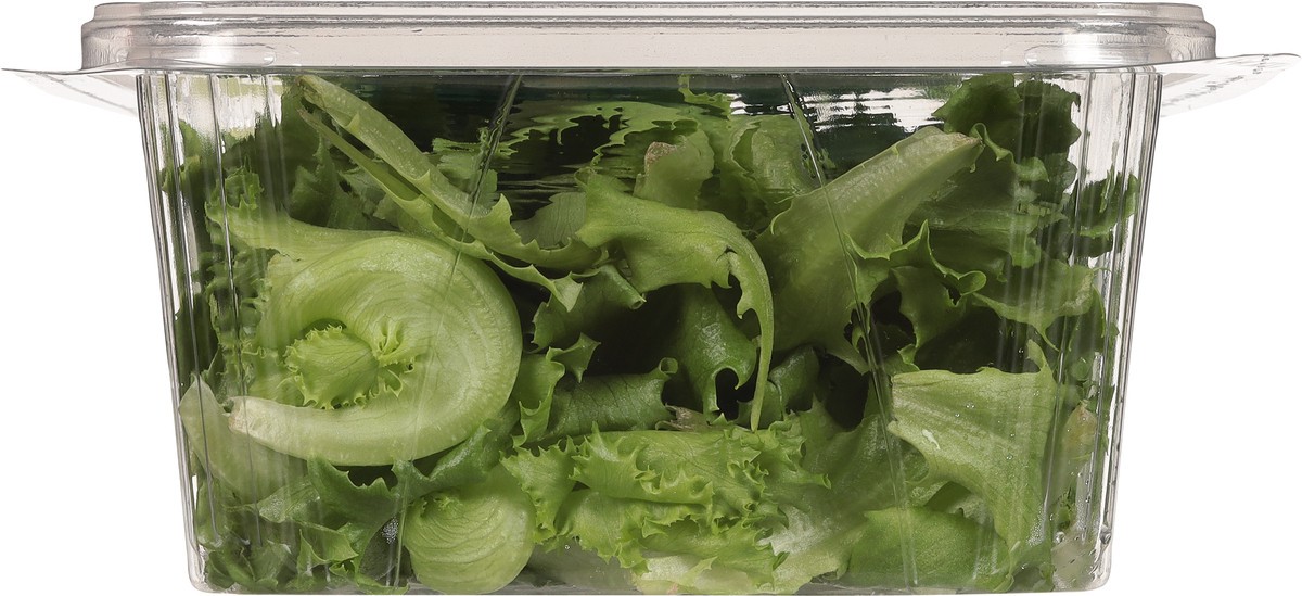 slide 8 of 10, Little Leaf Farms Green Leaf Baby Crispy Lettuce 8 oz, 8 oz