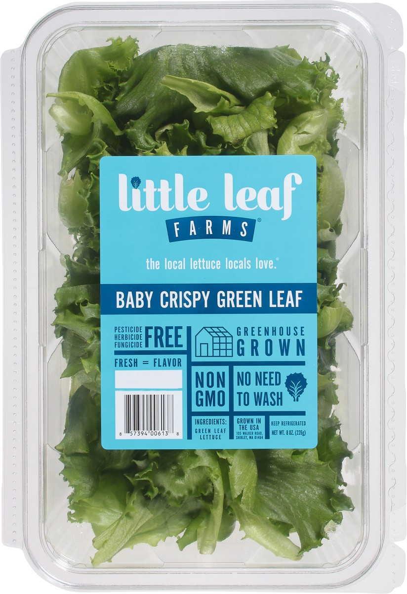slide 4 of 10, Little Leaf Farms Green Leaf Baby Crispy Lettuce 8 oz, 8 oz