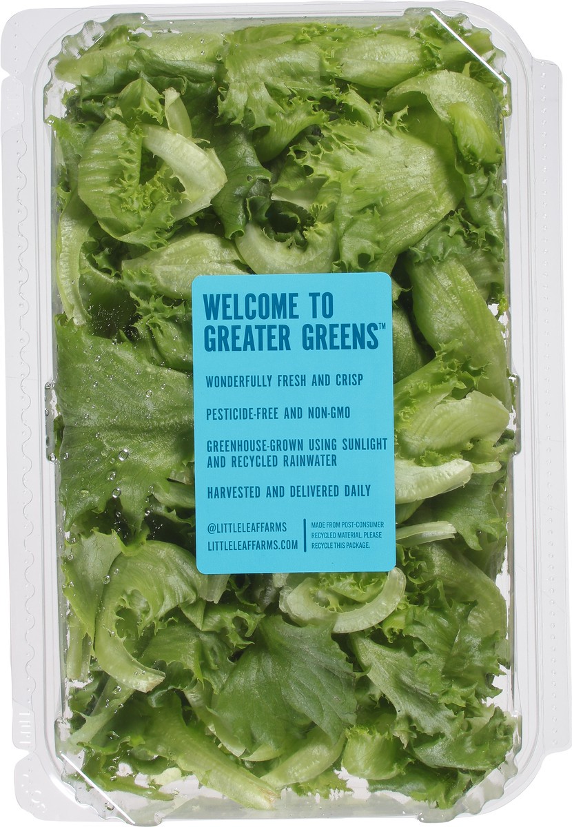 slide 10 of 10, Little Leaf Farms Green Leaf Baby Crispy Lettuce 8 oz, 8 oz