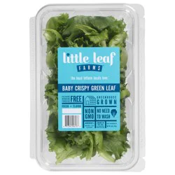Little Leaf Farms Green Leaf Baby Crispy Lettuce 8 oz