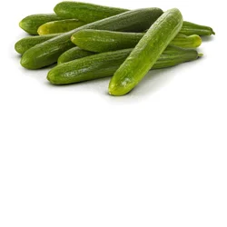 Fresh Organic Cucumber Seedless