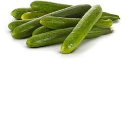 Fresh Organic Cucumber Seedless