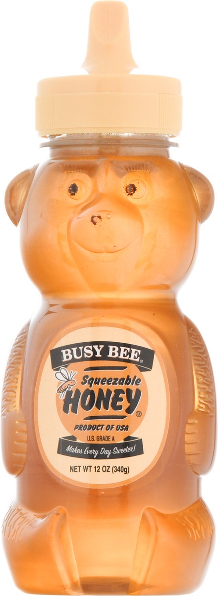 slide 1 of 12, Busy Bee Squeezable Honey 12 oz, 12 oz