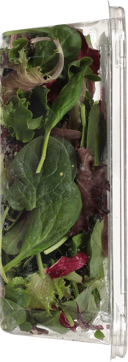 slide 7 of 9, O Organics Half & Half Salad Blend, 