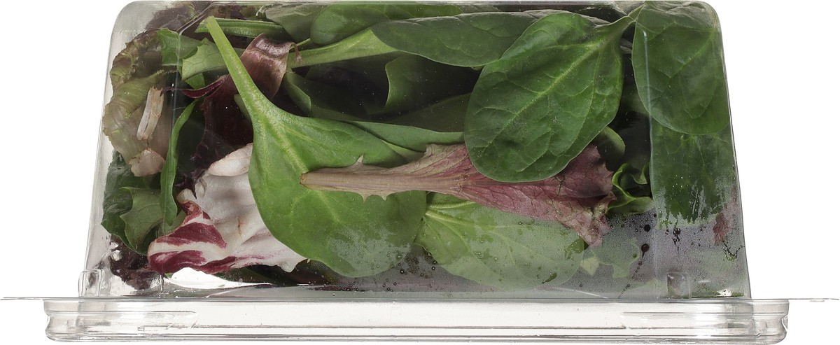 slide 9 of 9, O Organics Half & Half Salad Blend, 