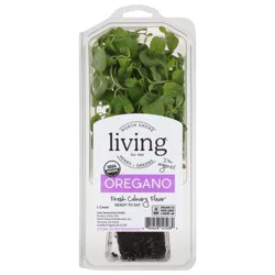 North Shore Living Oregano Organic