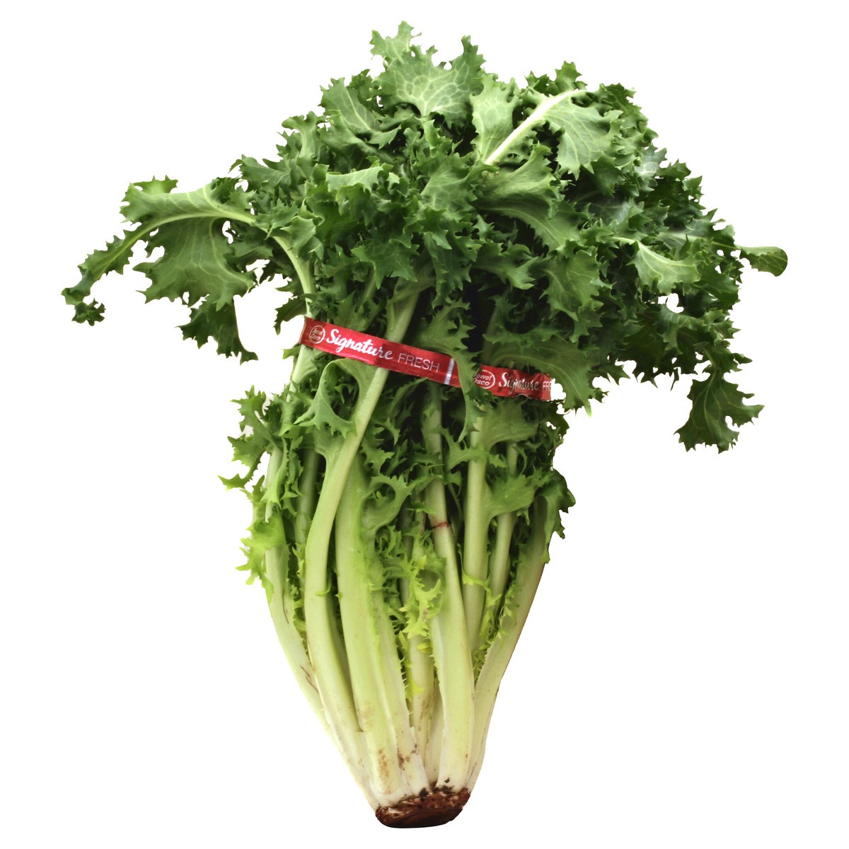 slide 3 of 3, Produce Escarole 1 ea, 1 ct