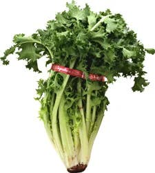 Produce Escarole 1 ea