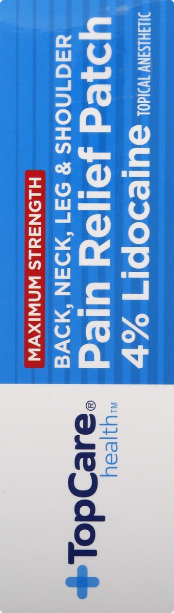 slide 8 of 11, TopCare Health Maximum Strength Pain Relief Patch 5 ea, 5 ct