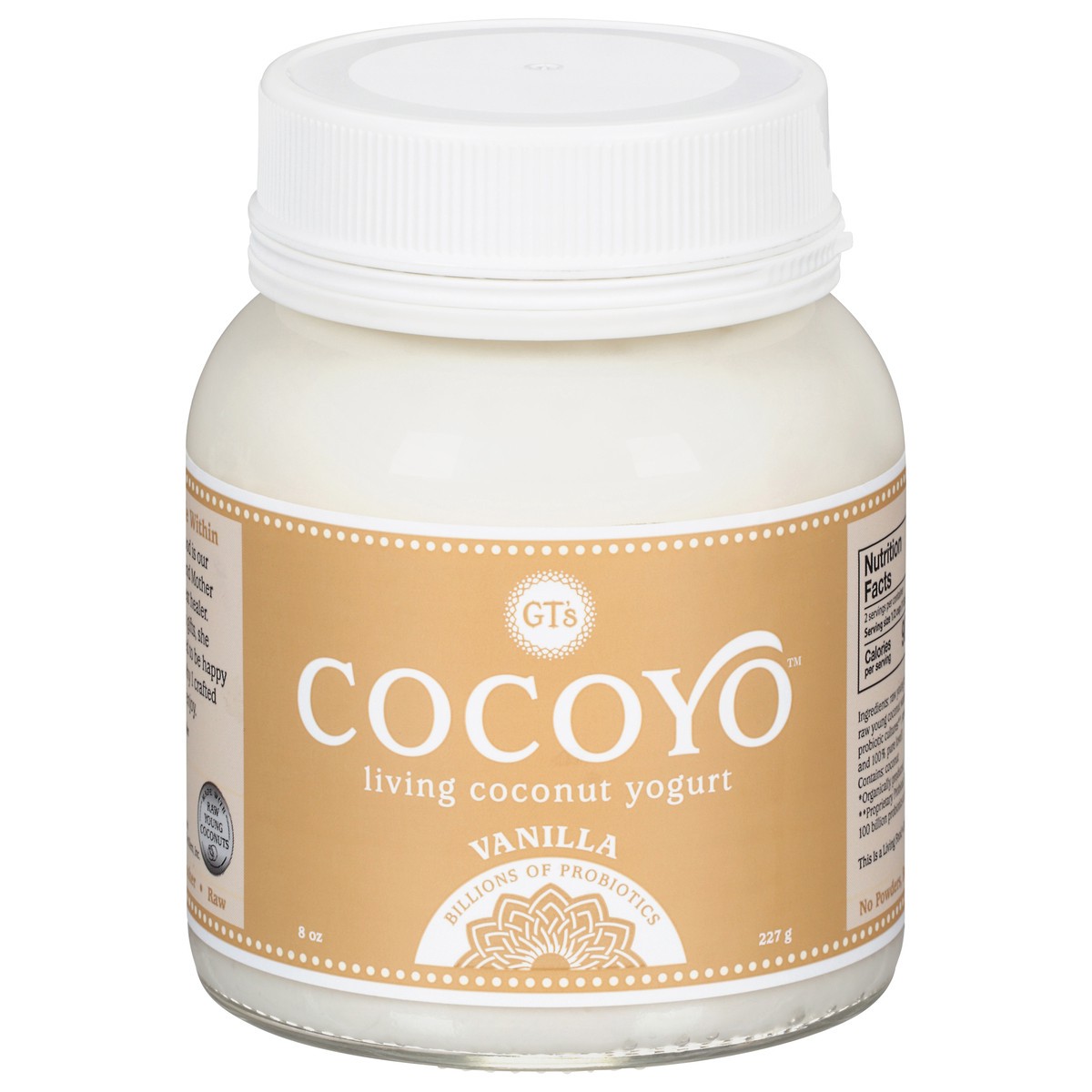 slide 1 of 9, Cocoyo Dairy Free Vanilla Coconut Yogurt, 8 fl oz