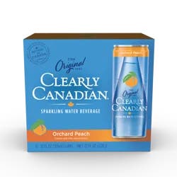 Clearly Canadian Country Raspberry Sparkling Water - 12 oz