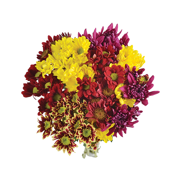 slide 1 of 1, Bachman's Fall Pom Medley Bouquet, 1 ct