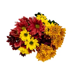 Bachman's Fall Pom Medley Bouquet