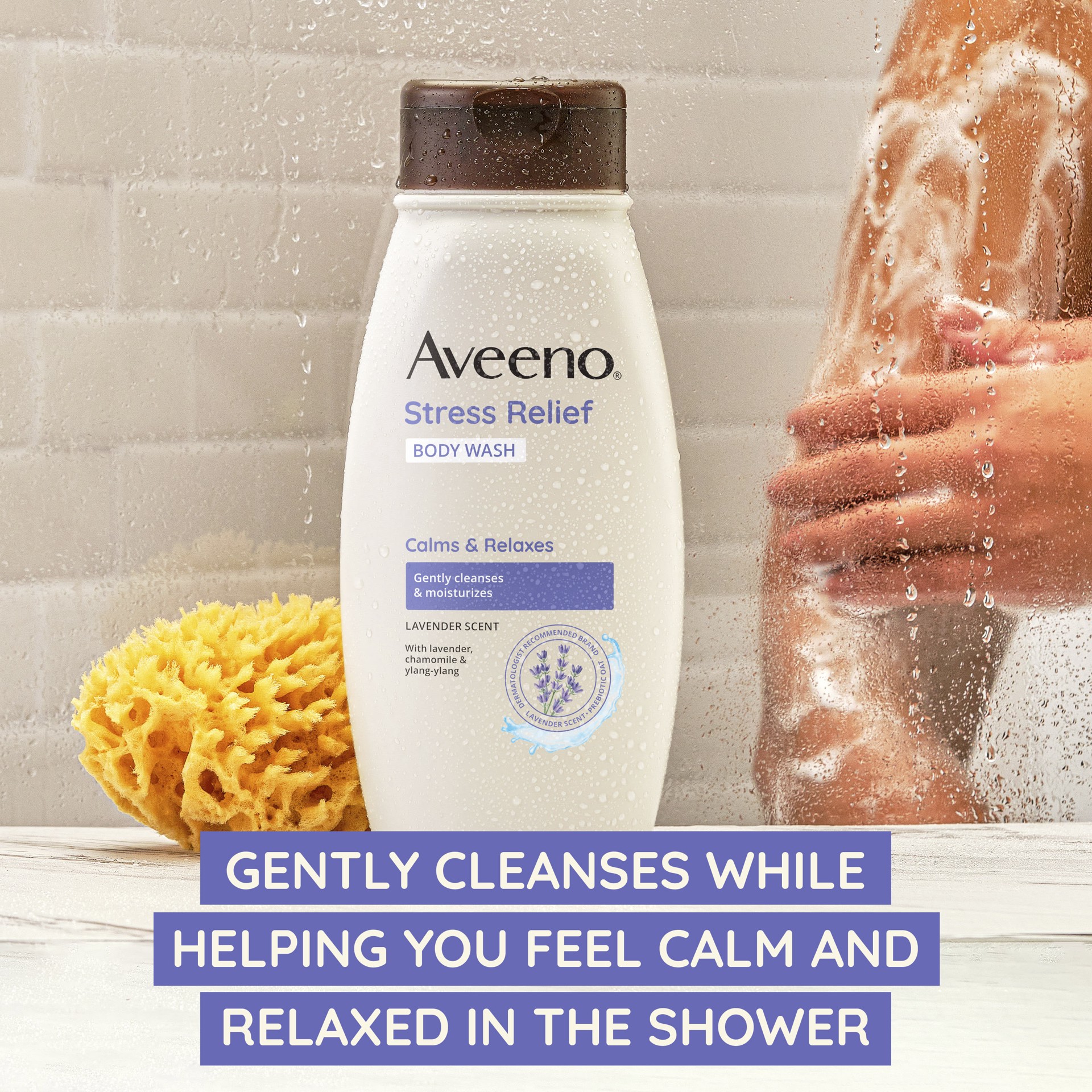 slide 5 of 9, Aveeno Stress Relief Body Wash, 12 fl oz