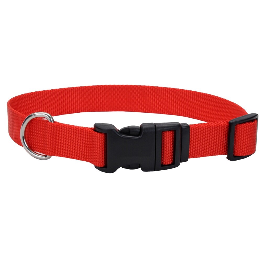 slide 4 of 4, Alliance Red Large Dog Collar, 1 ct