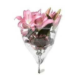 Vibrant Lily Bouquet