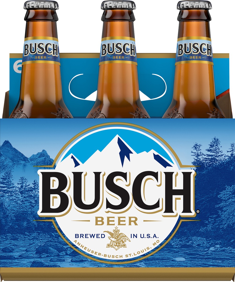 slide 9 of 9, Busch Beer 6 - 12 fl oz Bottles, 6 ct