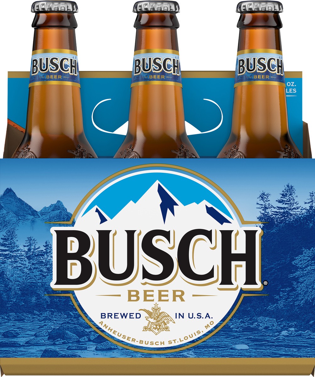 slide 2 of 9, Busch Beer 6 - 12 fl oz Bottles, 6 ct