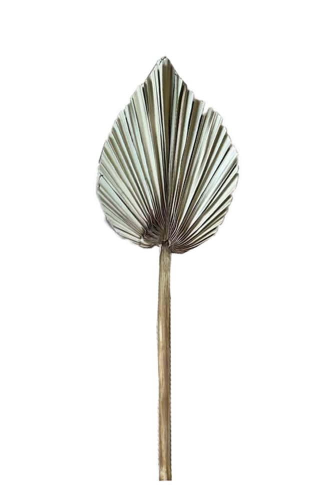 slide 2 of 2, SDS for HD Designs 25.9 Inch Natural Dried Palm Leaf Decoravtive Accent, 25.9 in