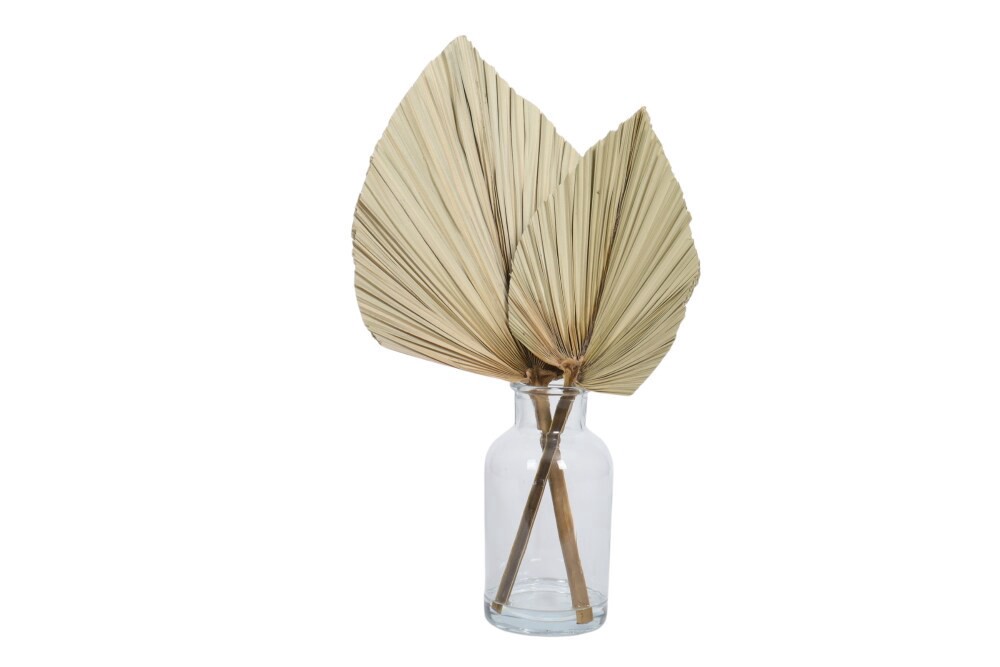 slide 1 of 1, SDS for HD Designs Palm Leaf in Glass Pot, 19 in