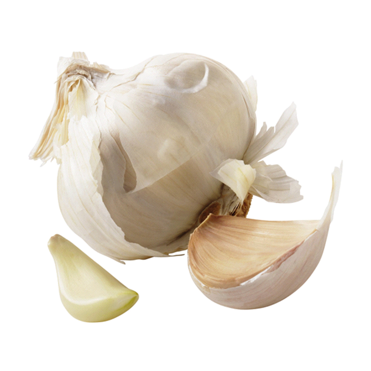 slide 1 of 1, Garlic, 1 ct