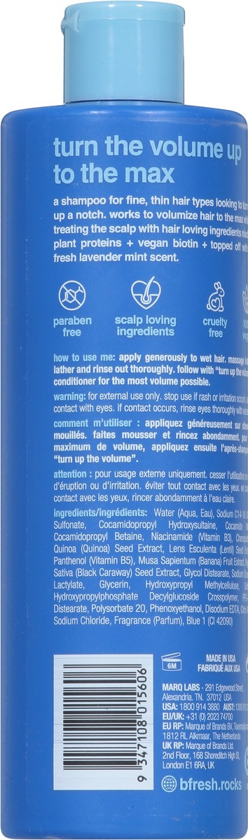 slide 5 of 9, b.fresh Volumizing Lavender Mint Shampoo 12 fl oz, 12 oz