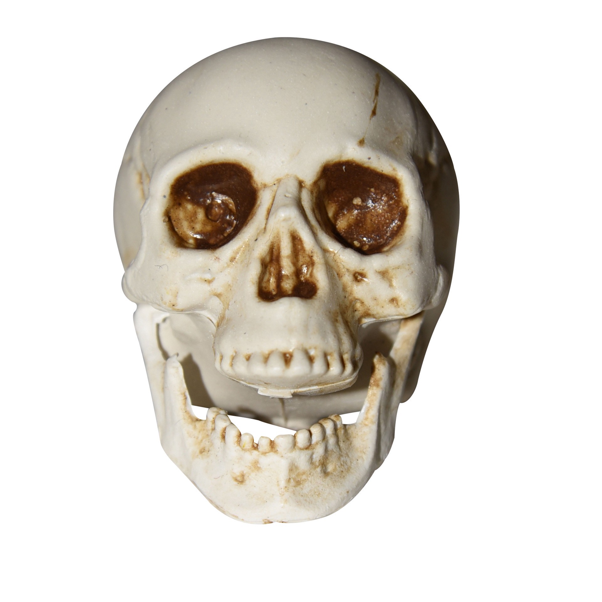 slide 4 of 5, White Plastic Skulls, 6ct. By Ashland, 6 ct