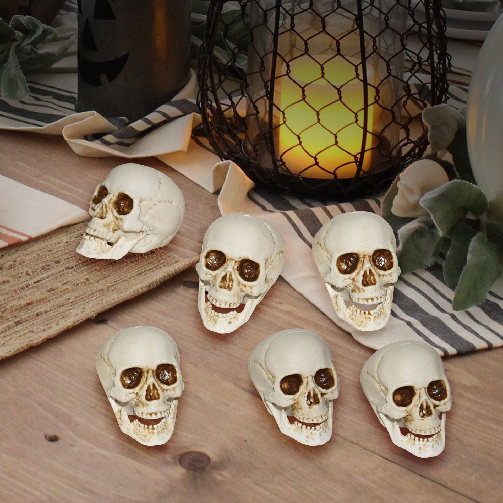 slide 3 of 5, White Plastic Skulls, 6ct. By Ashland, 6 ct