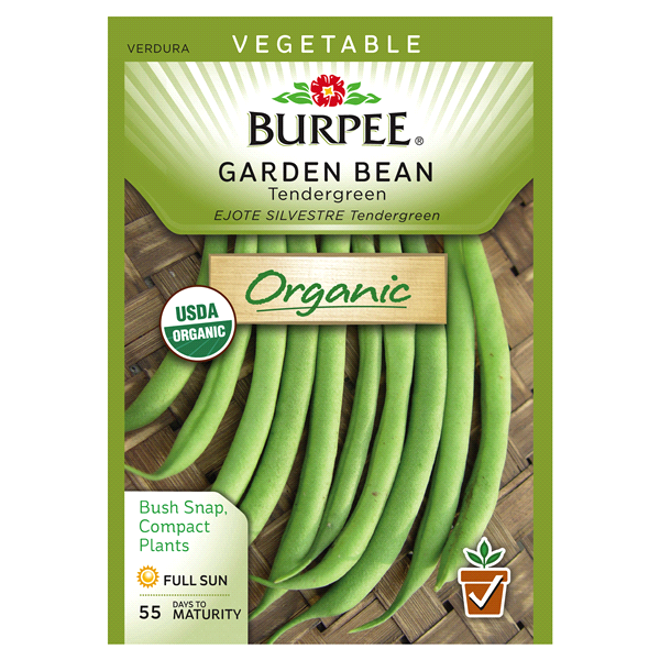 slide 1 of 1, Burpee Garden Bean, Tendergreen, 1 ct