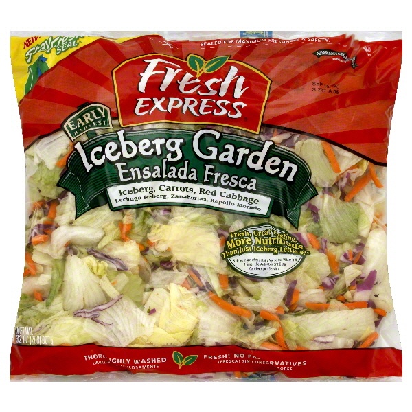 slide 1 of 1, Fresh Express Iceberg Garden Salad, 1 ct