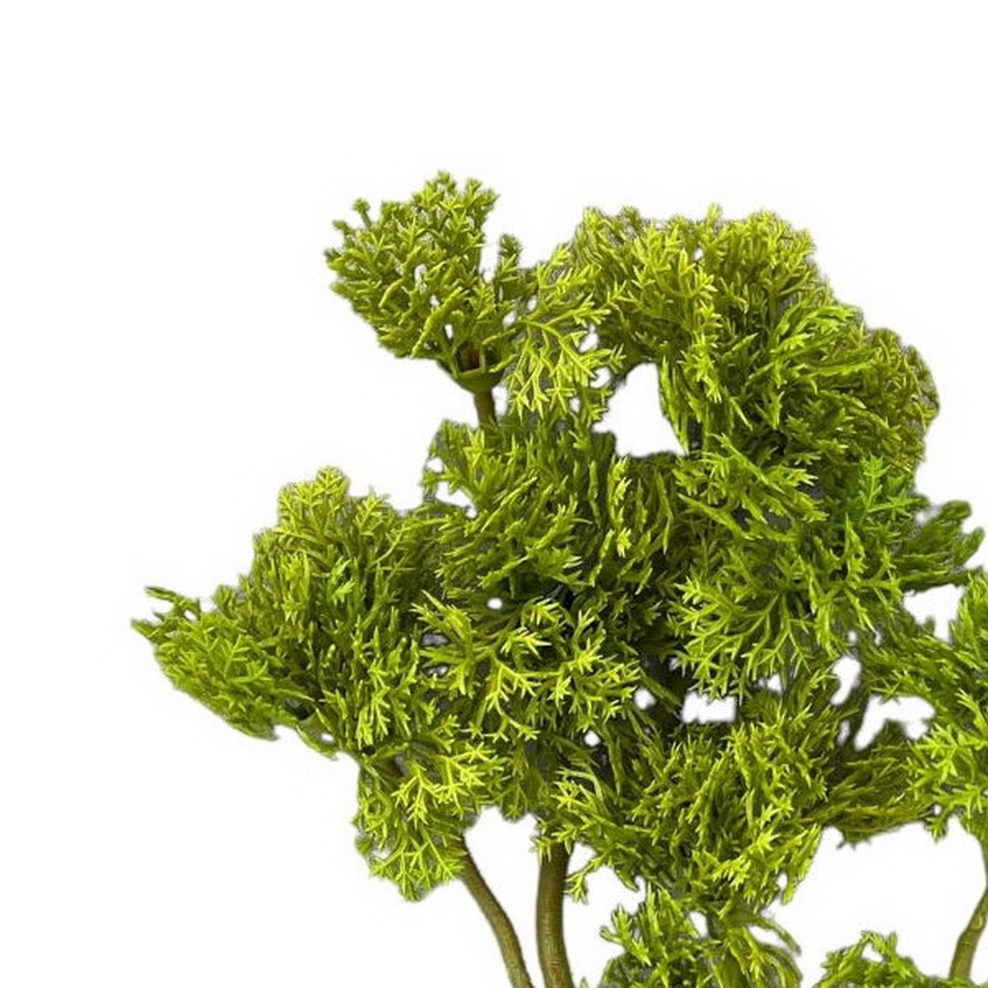 slide 3 of 3, 10.5" Moss Pick By Ashland, 10.5 in