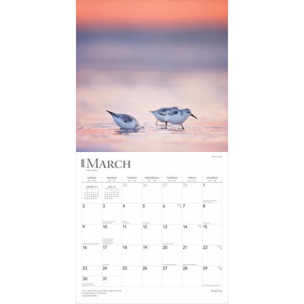 slide 5 of 8, 2025 Browntrout Inspirational Monthly Plastic-Free Square Wall Calendar, 12"" X 12"", Simplicity, January 2025 To December 2025, 1 ct