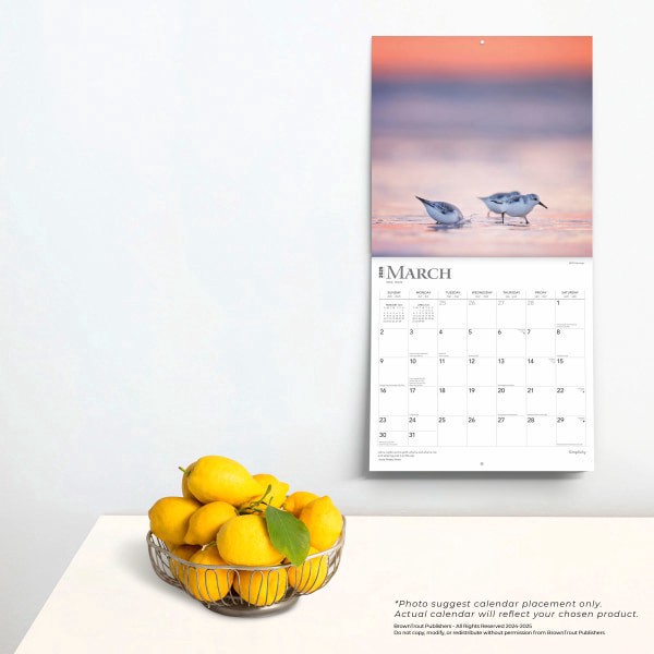 slide 4 of 8, 2025 Browntrout Inspirational Monthly Plastic-Free Square Wall Calendar, 12"" X 12"", Simplicity, January 2025 To December 2025, 1 ct