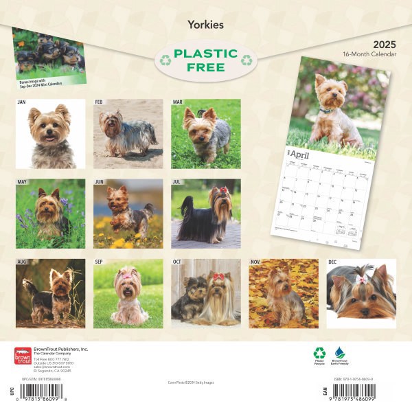 slide 4 of 8, 2025 Browntrout Animals Monthly Plastic-Free Square Wall Calendar, 12"" X 12"", Yorkshire Terriers, January 2025 To December 2025, 1 ct