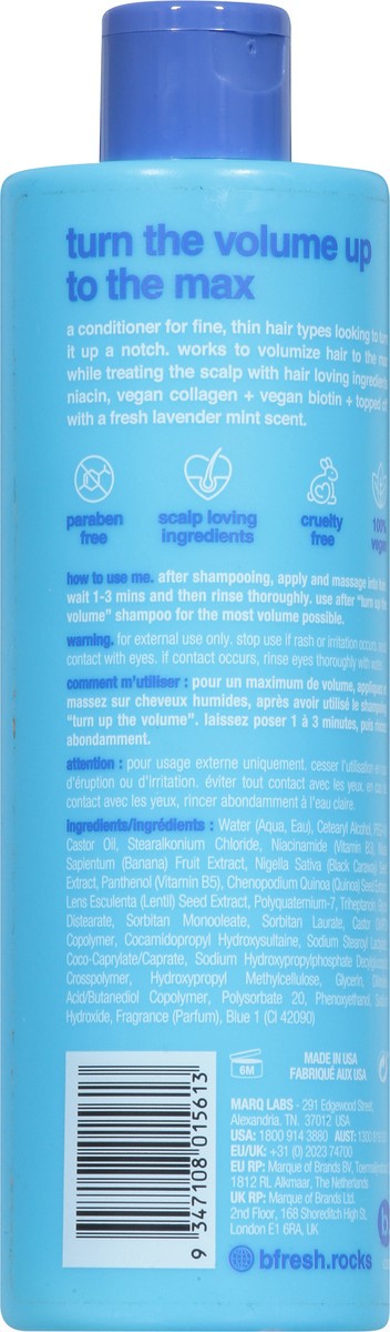slide 7 of 9, b.fresh Volumizing Lavender Mint Conditioner 12 fl oz, 12 oz
