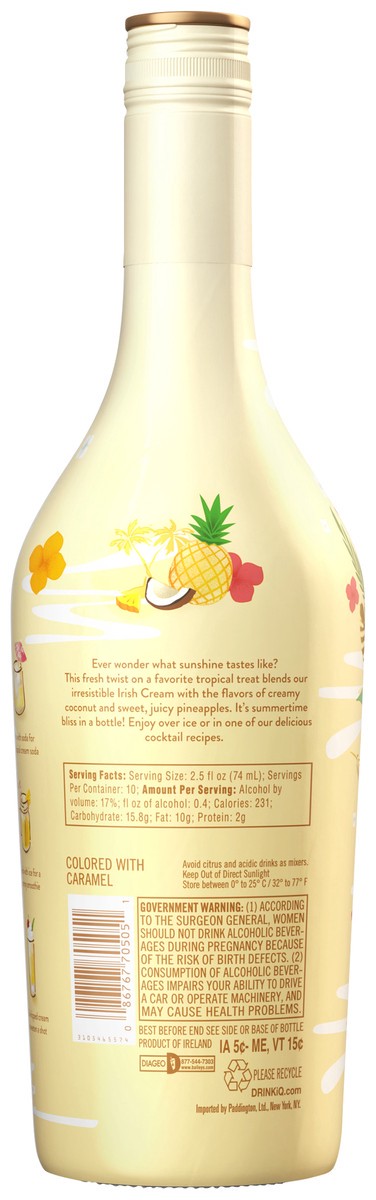 slide 4 of 4, Bailey's Colada Irish Cream Liqueur, 750 mL, 750 ml
