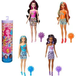 Barbie Color Reveal Rainbow-Inspired Series Doll & Accessories with 6 Surprises