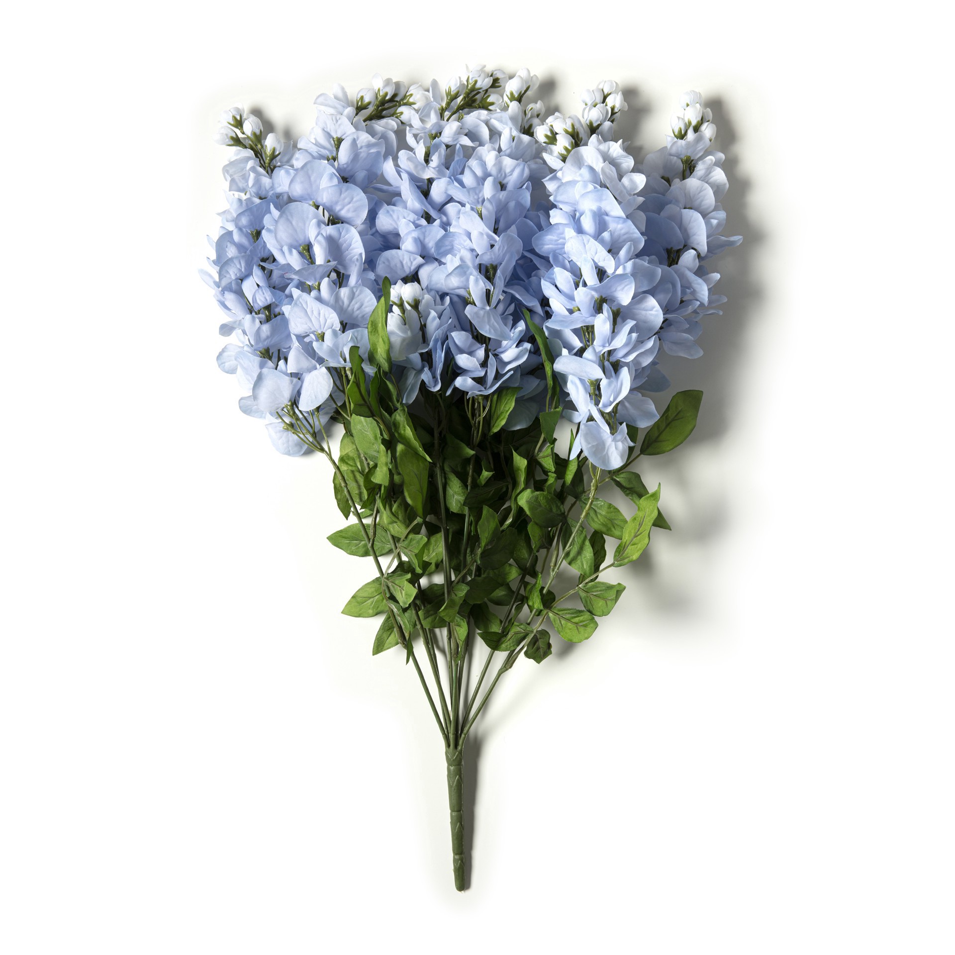 slide 4 of 7, Blue Wisteria Bush By Ashland, 17 in