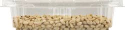 Nature's Garden Pine Nuts - 4 oz