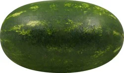 Fresh Whole Seeded Watermelon