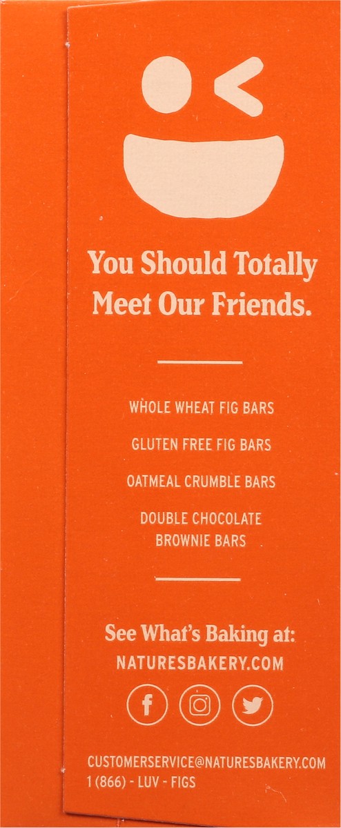 slide 11 of 14, Nature's Bakery Pumpkin Spice Whole Wheat Fig Bars, Snack Bars, 6 Ct, 6 ct