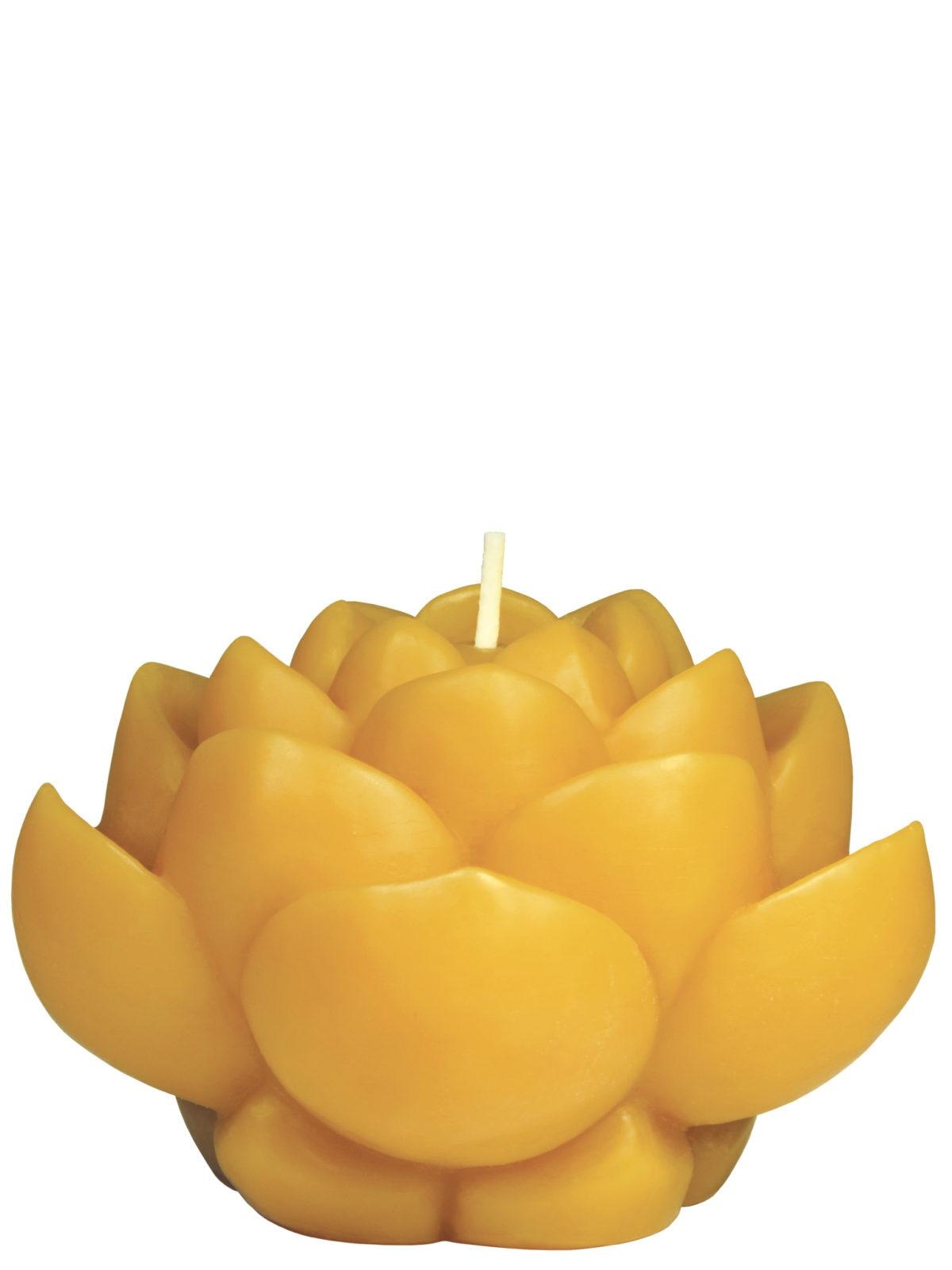 slide 1 of 1, Sunbeam Lotus Beeswax Candle, 1 ct
