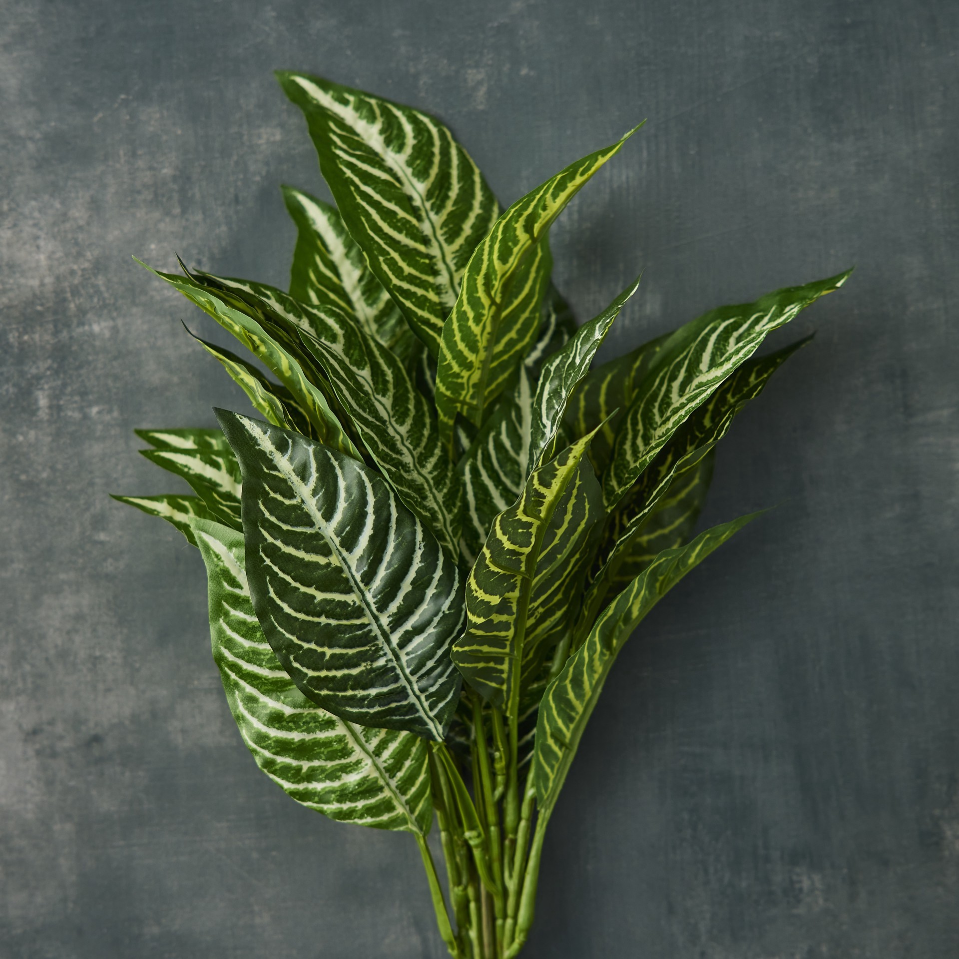 slide 2 of 2, Zebra Bush Classic Greenery By Ashland, 20 in