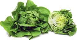 Lettuce 1 ea