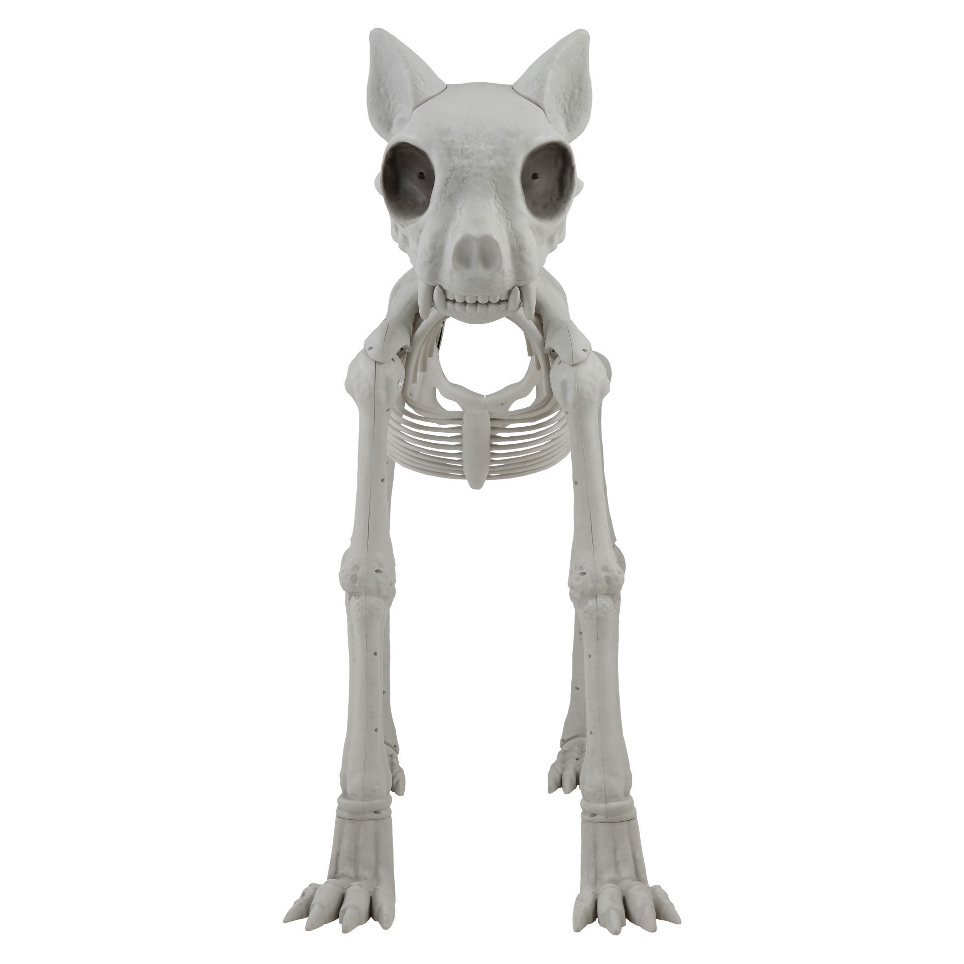 slide 2 of 5, 5ft. Oversized Posable Cat Skeleton By Ashland, 5 ft