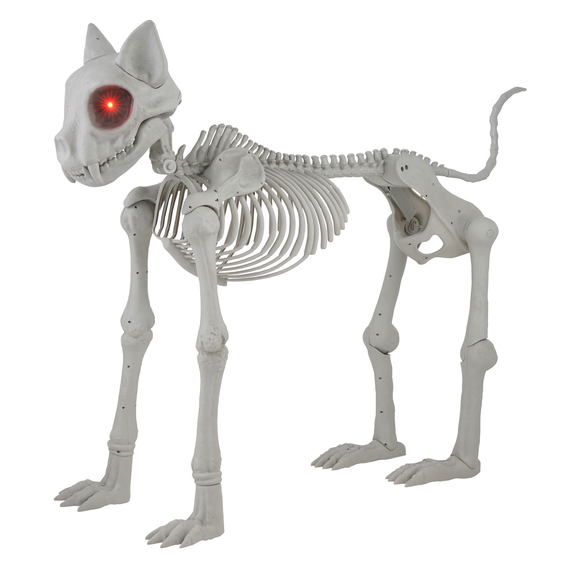 slide 5 of 5, 5ft. Oversized Posable Cat Skeleton By Ashland, 5 ft
