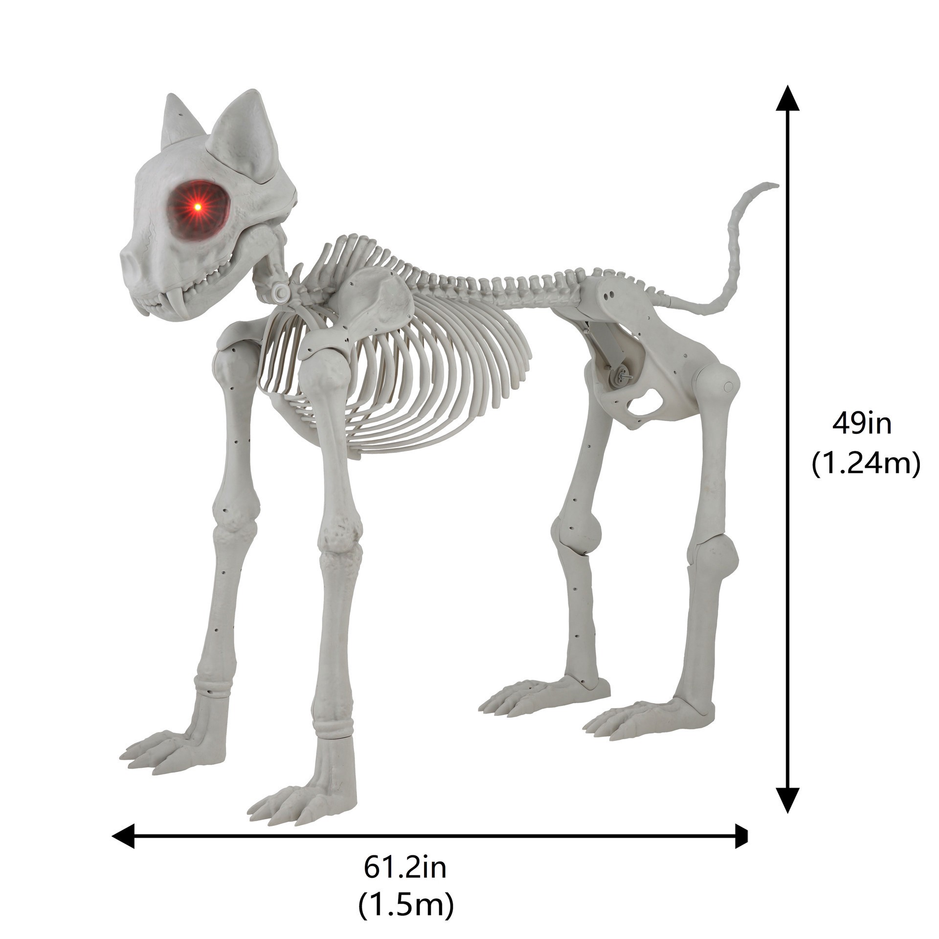 slide 3 of 5, 5ft. Oversized Posable Cat Skeleton By Ashland, 5 ft