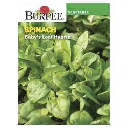Burpee Spinach Seeds, Baby's Leaf Hybrid